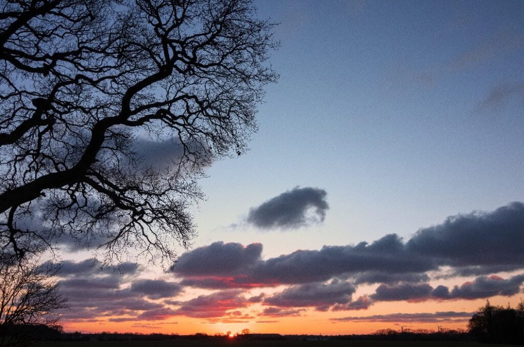 Silhouette von verdrehten Ästen und epischen Sonnenuntergang, Baum Beerdigung, Wald Friedhof